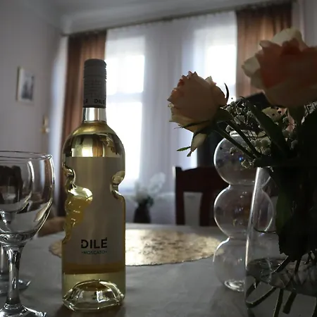555 Flat - 55 M² Mieszkanie, 5 Min - Dworzec Glowny Krakow
